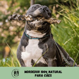 Trança de Couro Bovino Natuka para Cachorros - Mordedor Natural