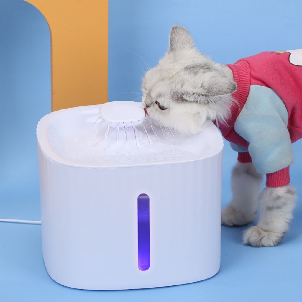 Bebedouro Elevado Automático com Filtro para Cachorros e Gatos