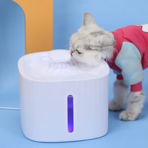 Bebedouro Elevado Automático com Filtro para Cachorros e Gatos