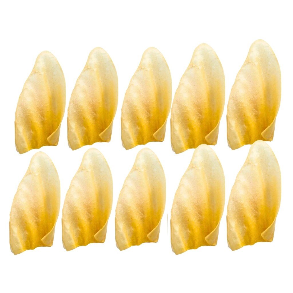 Kit Pacote com 10 Orelhas Bovina Mordedor Desidratado Natural DIP DOG